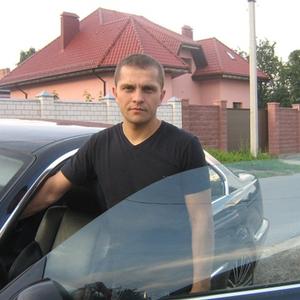 Дима, 43 года, Гомель