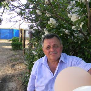 Павел, 65 лет, Волгоград