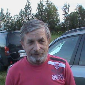 Владимир, 73 года, Ногинск-9