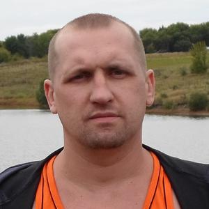 Алексей, 42 года, Белгород