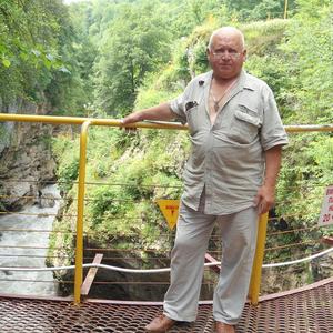 Михаил, 73 года, Мостовской
