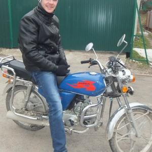 Дима, 28 лет, Ростов-на-Дону
