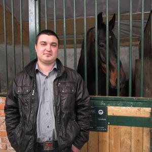 Александр, 39 лет, Калининград