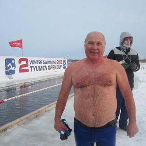 Анатолий Евтушок, 71 год, Новосибирск