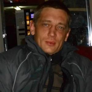 Парни в Апатиты: Дмитрий Малахов, 46 - ищет девушку из Апатиты