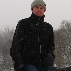 Андрей, 44 года, Владимир
