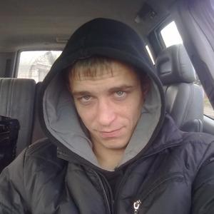 Артем, 36 лет, Бобруйск