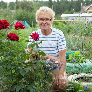 Анна, 71 год, Новосибирск
