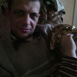 Серёга, 41 год, Челябинск