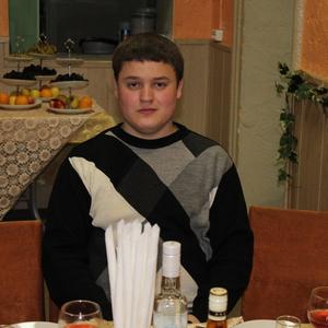 Дима, 35 лет, Северодвинск