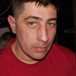 Андрей Алипов, 47 лет, Йошкар-Ола