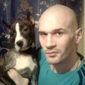 Славик, 41 год, Липецк