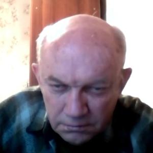 Владимир, 75 лет, Электросталь