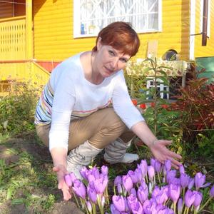 Светлана, 62 года, Архангельск