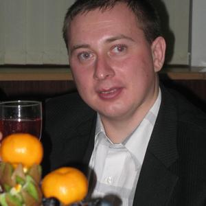 Парни в Ногинске: Алексей, 41 - ищет девушку из Ногинска