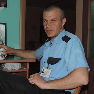 Алексей Смолин, 47 лет, Брянск