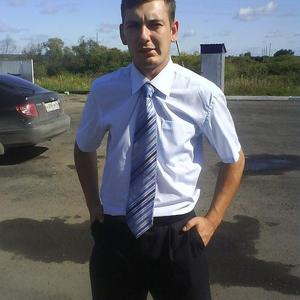 Николай, 35 лет, Тюмень