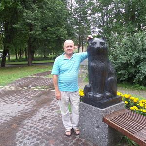 Парни в Петергофе: Геннадий, 66 - ищет девушку из Петергофа