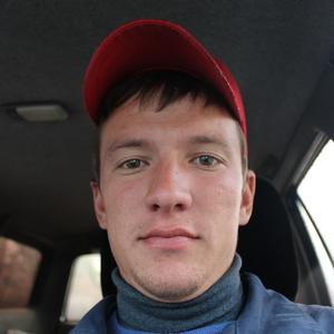 Иван, 33 года, Барнаул