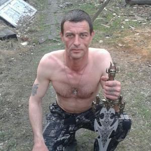 Тарас, 46 лет, Вяземский