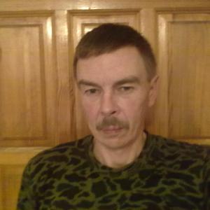 Aleksandr Pankov, 60 лет, Курск