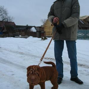 Парни в Ижевске: Андрей, 55 - ищет девушку из Ижевска