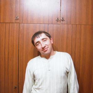 Александр Гуммер, 42 года, Лакинск