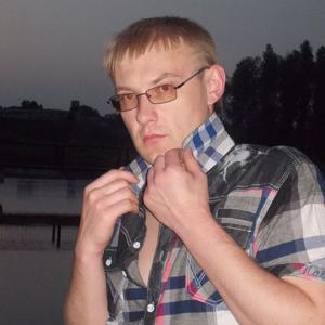 Николай, 36 лет, Витебск
