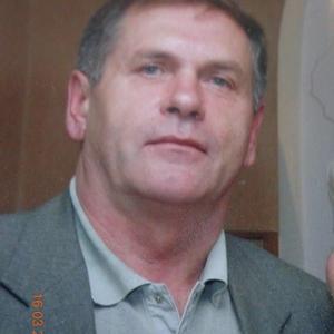 Михаил Николаев, 68 лет, Раменское