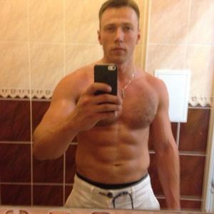 Ilya, 34 года, Калининград