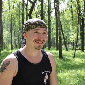 Евгений, 41 год, Климовск