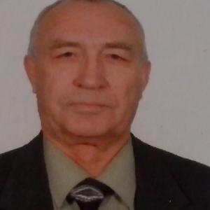 Николай, 76 лет, Шарыпово