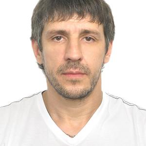 Александр Шмаков, 43 года, Челябинск
