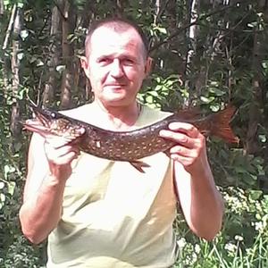 Вячеслав, 61 год, Торжок