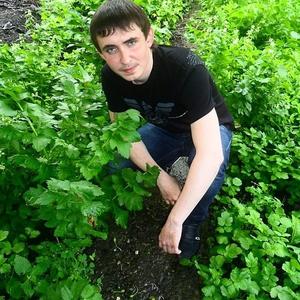 Дмитрий, 33 года, Ессентуки