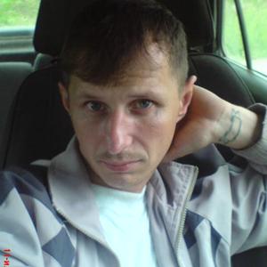 Александр Гарнцев, 48 лет, Кострома