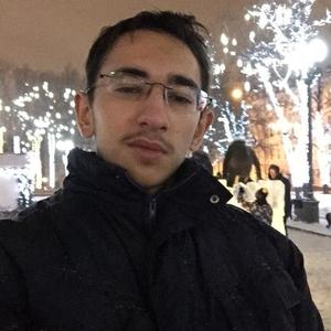 Рауф, 27 лет, Москва