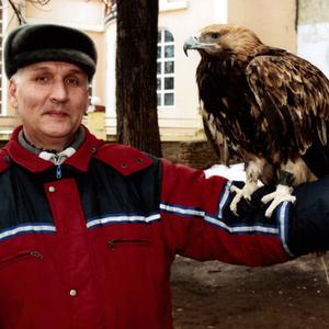 Рафаил Мустафин, 65 лет, Челябинск