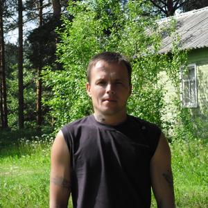  Николай, 45 лет, Вологда