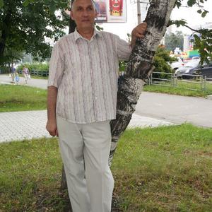 Парни в Челябинске: Рафаил Мустафин, 65 - ищет девушку из Челябинска