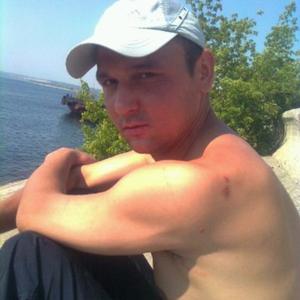 Алексей Серпень, 46 лет, Саратов