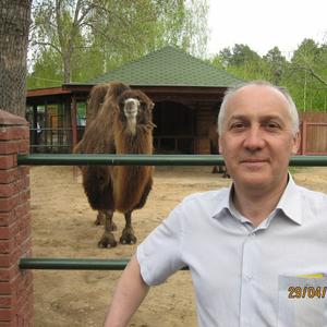 Павел, 51 год, Нижний Новгород