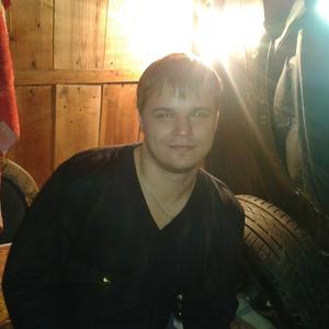 Николай, 37 лет, Сургут