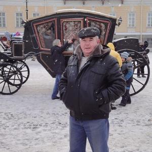 Владимир, 78 лет, Санкт-Петербург
