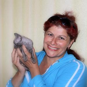 Васятка, 47 лет, Санкт-Петербург