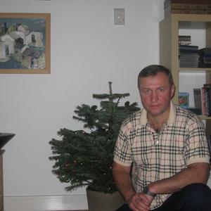 Александр, 64 года, Ногинск