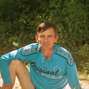Альберт Москаев, 58 лет, Пенза