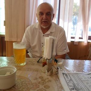 Валерий, 63 года, Тольятти
