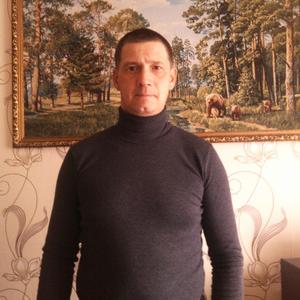 Александр Ганичев, 48 лет, Вологда