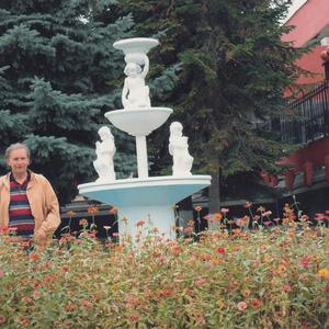 Парни в Ставрополе: Владимир, 68 - ищет девушку из Ставрополя